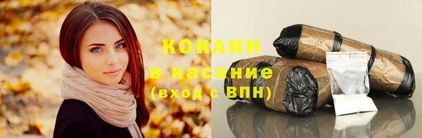гидра Аркадак