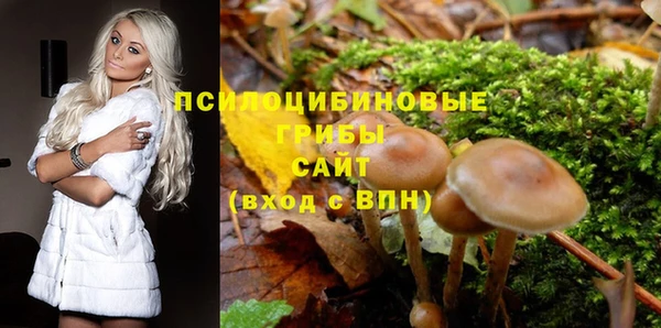 мет Арсеньев