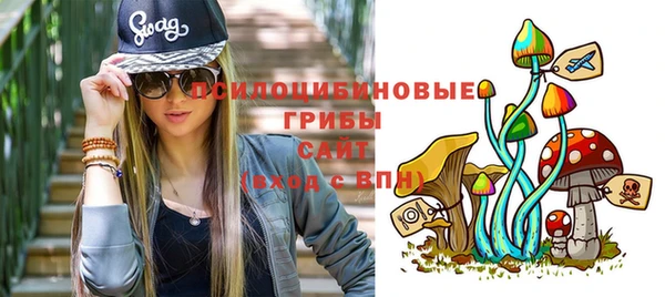 мет Арсеньев