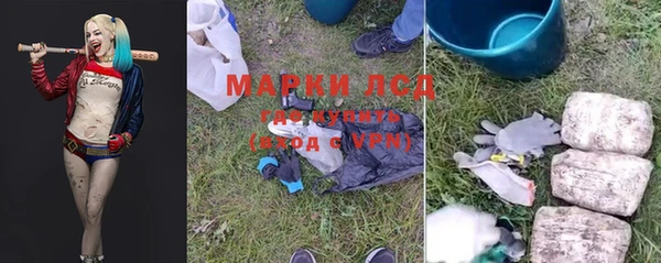 гидра Аркадак