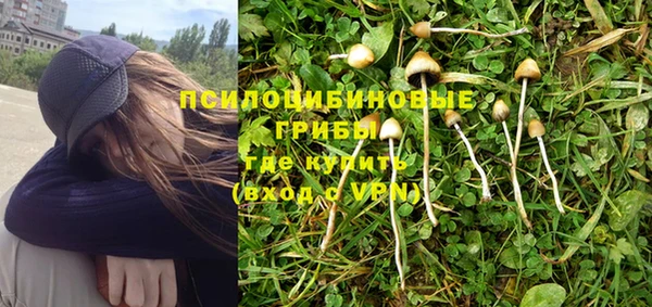 спиды Армянск