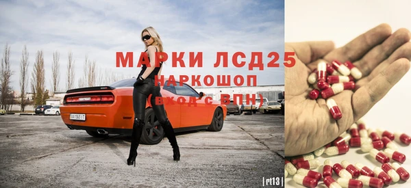 гидра Аркадак