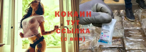 гидра Аркадак